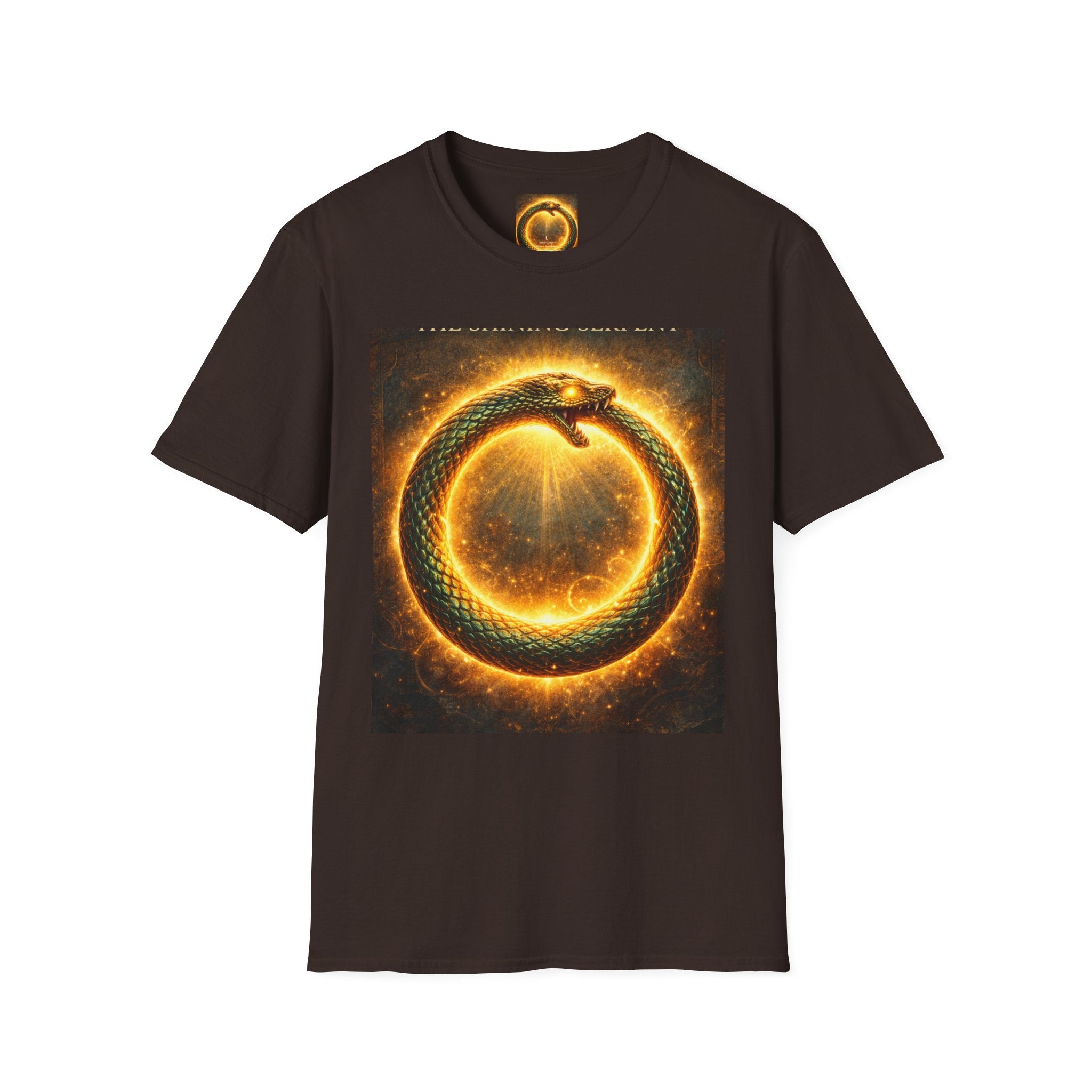 Ouroboros Flame T-Shirt — Fiery Snake Circle Graphic Tee