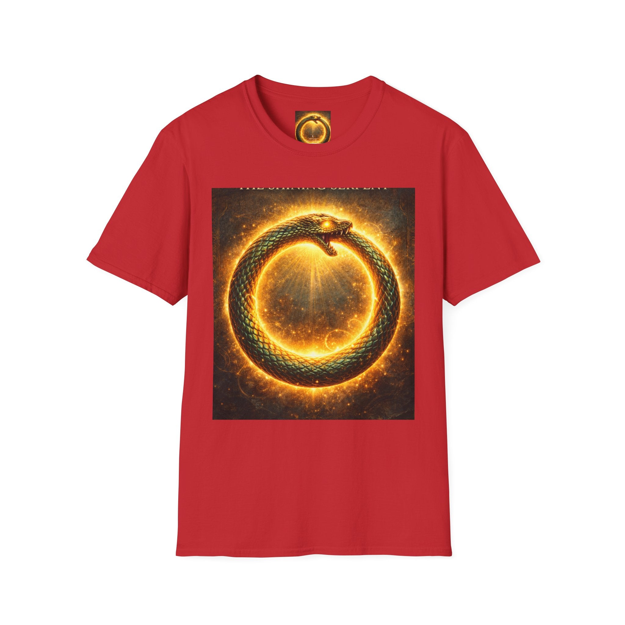 Ouroboros Flame T-Shirt — Fiery Snake Circle Graphic Tee